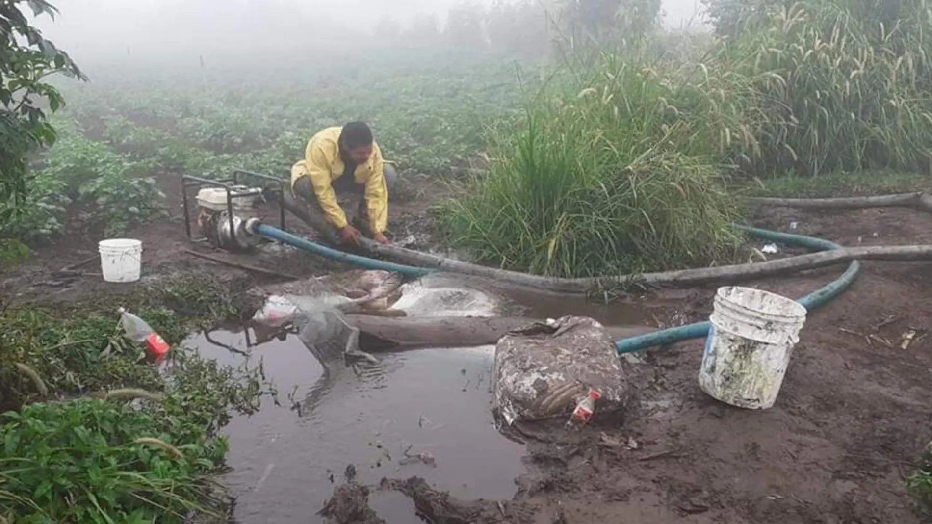 Para la producción realizan canales para desviar el agua